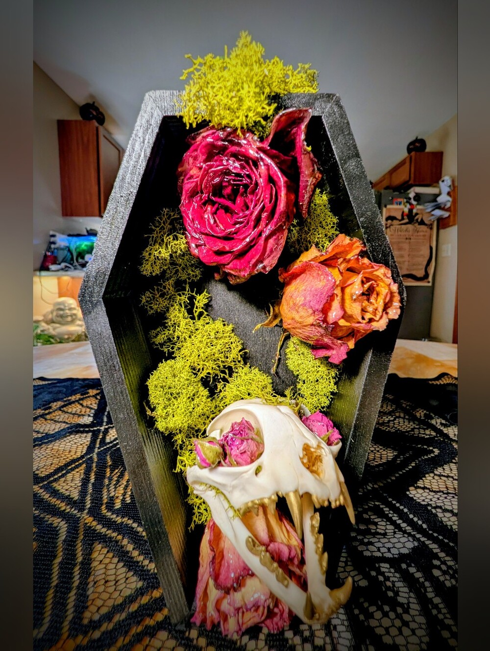 Genuine Cat Skull Black Hex Coffin Wall Accent with Pink & Orange Resined Roses